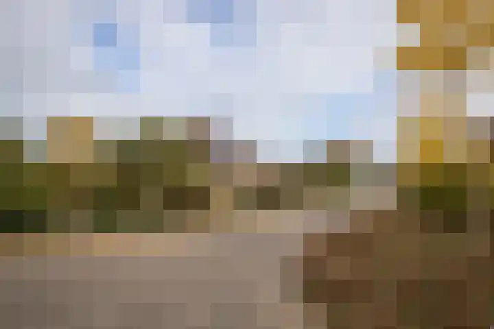 Zuiderwoid 75 Lutjebroek thumbnail 46