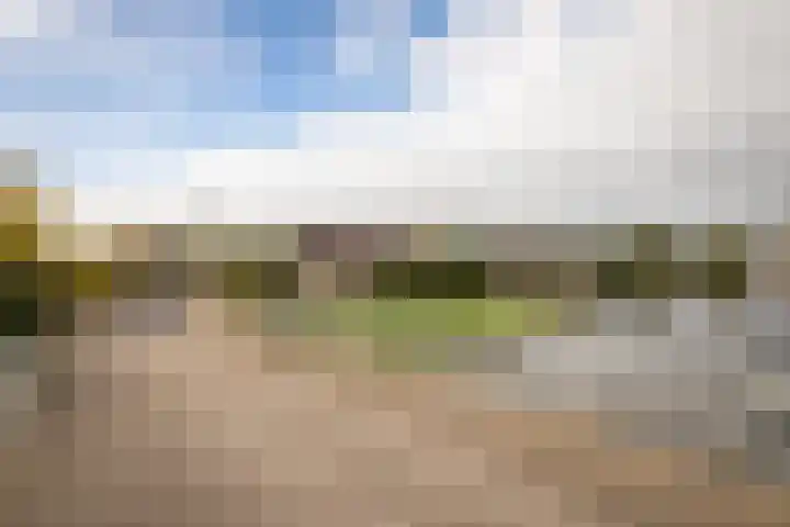 Zuiderwoid 75 Lutjebroek thumbnail 47