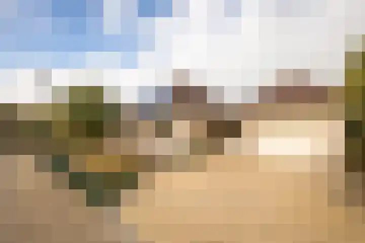 Zuiderwoid 75 Lutjebroek thumbnail 5
