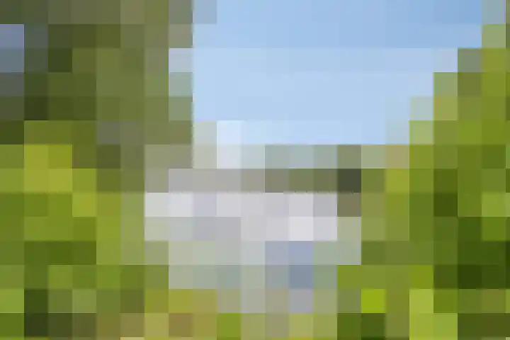 Zuiderwoid 75 Lutjebroek thumbnail 50