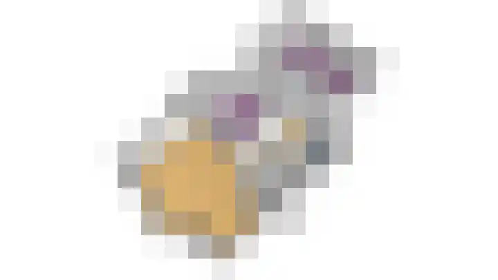 Zuiderwoid 75 Lutjebroek thumbnail 61