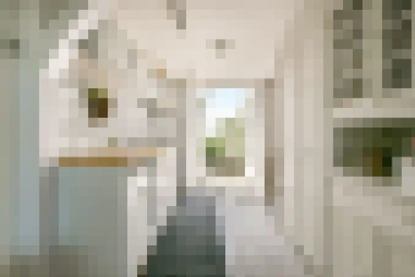 Zuiderwouder Dorpsstraat 66 Zuiderwoude thumbnail 13