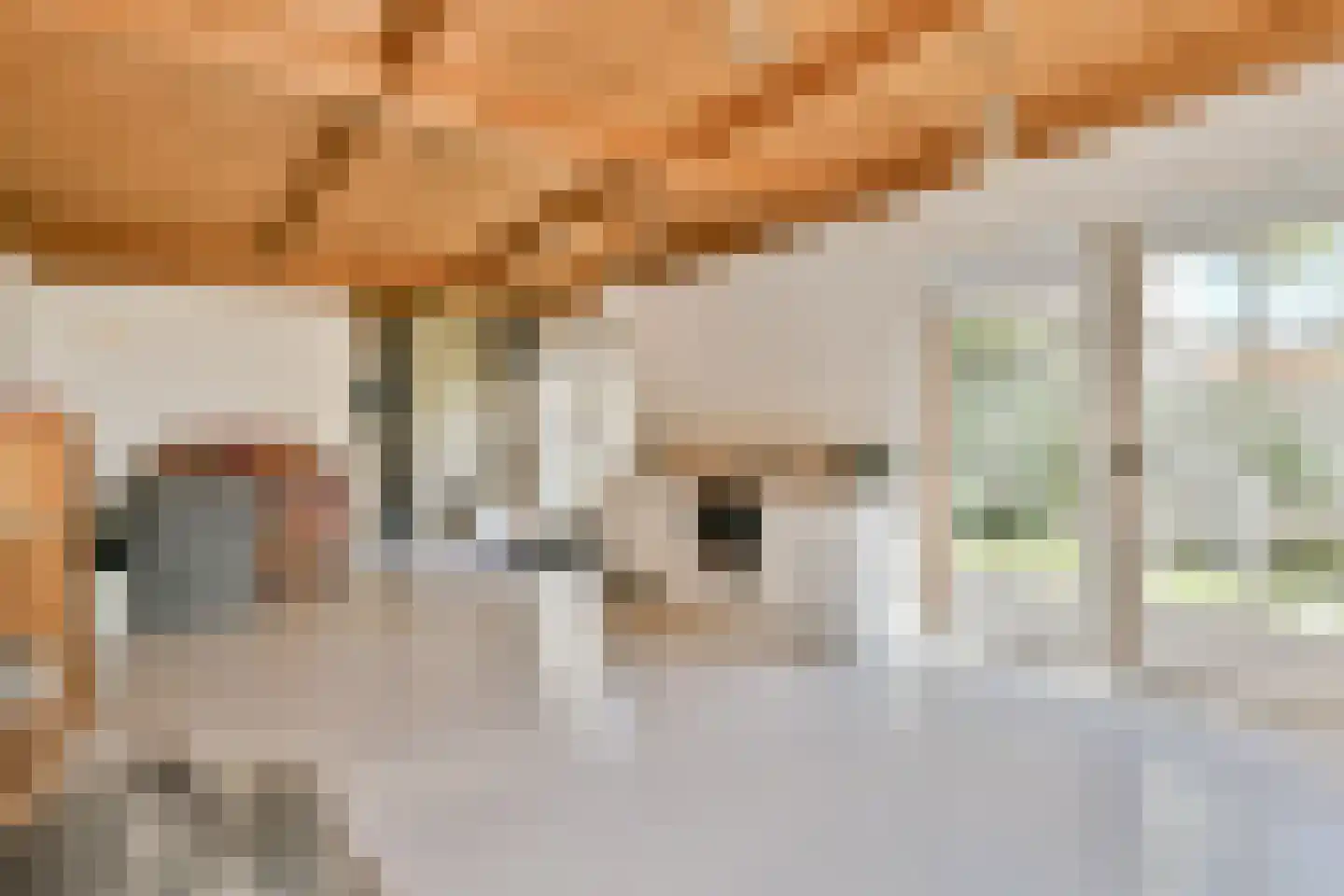 Zuiderwouder Dorpsstraat 66 Zuiderwoude thumbnail 20