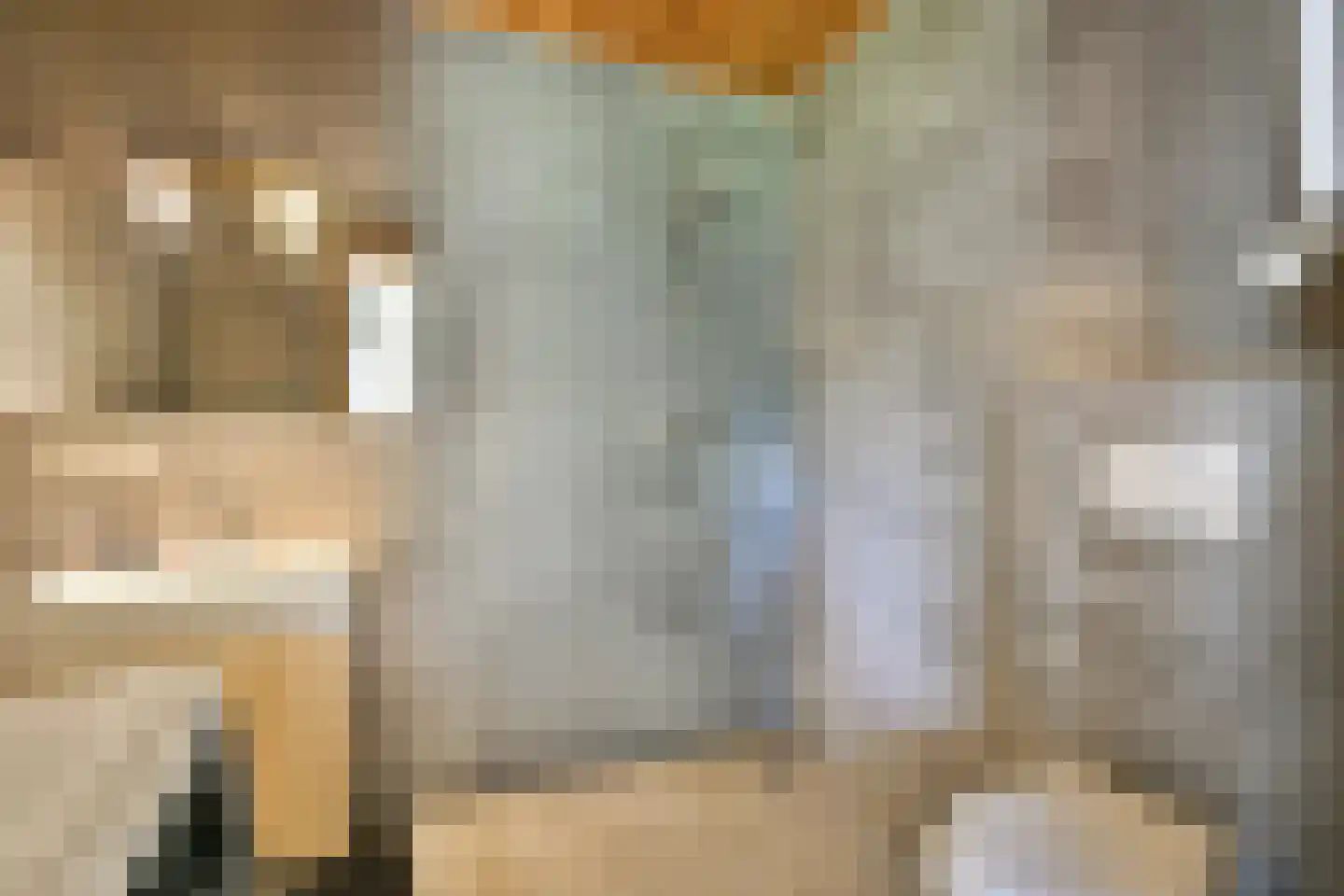 Zuiderwouder Dorpsstraat 66 Zuiderwoude thumbnail 22