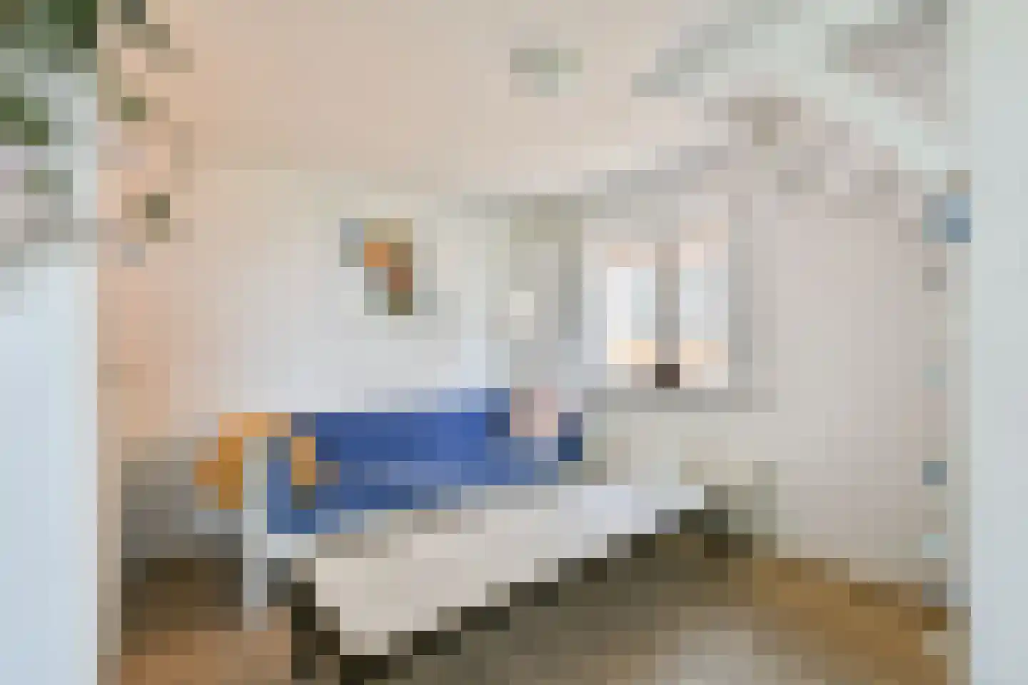 Zuiderwouder Dorpsstraat 66 Zuiderwoude thumbnail 6