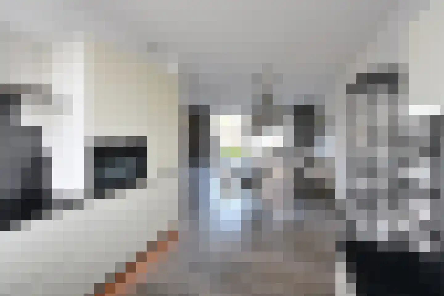 Zuiderzee 37 Huizen thumbnail 9
