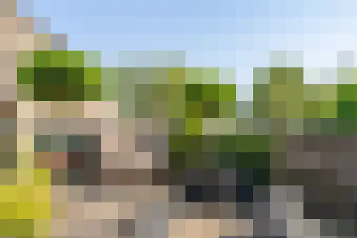 Zuiderzee 39 Huizen thumbnail 21