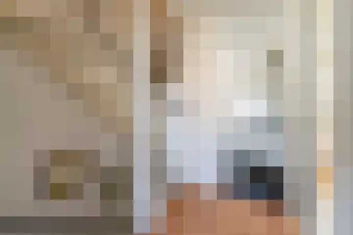 Zuiderzee 39 Huizen thumbnail 33
