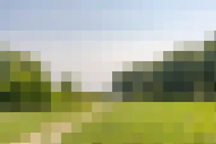 Zuiderzee 39 Huizen thumbnail 45