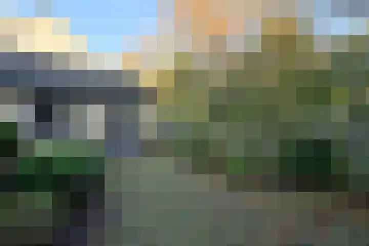 Zuiderzee 61 Huizen thumbnail 13
