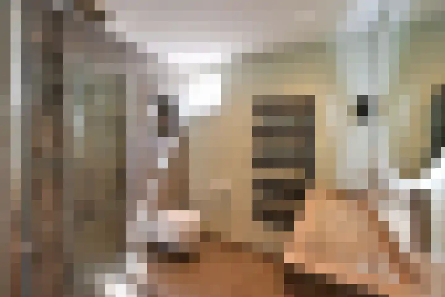 Zuiderzee 7 Huizen thumbnail 14