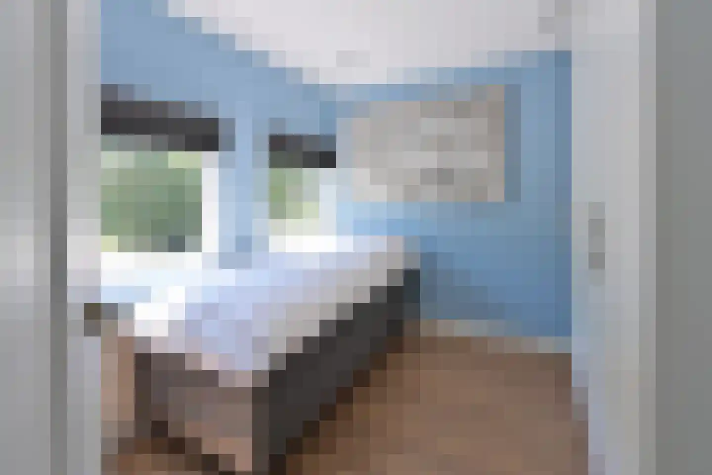 Zuiderzee 7 Huizen thumbnail 16