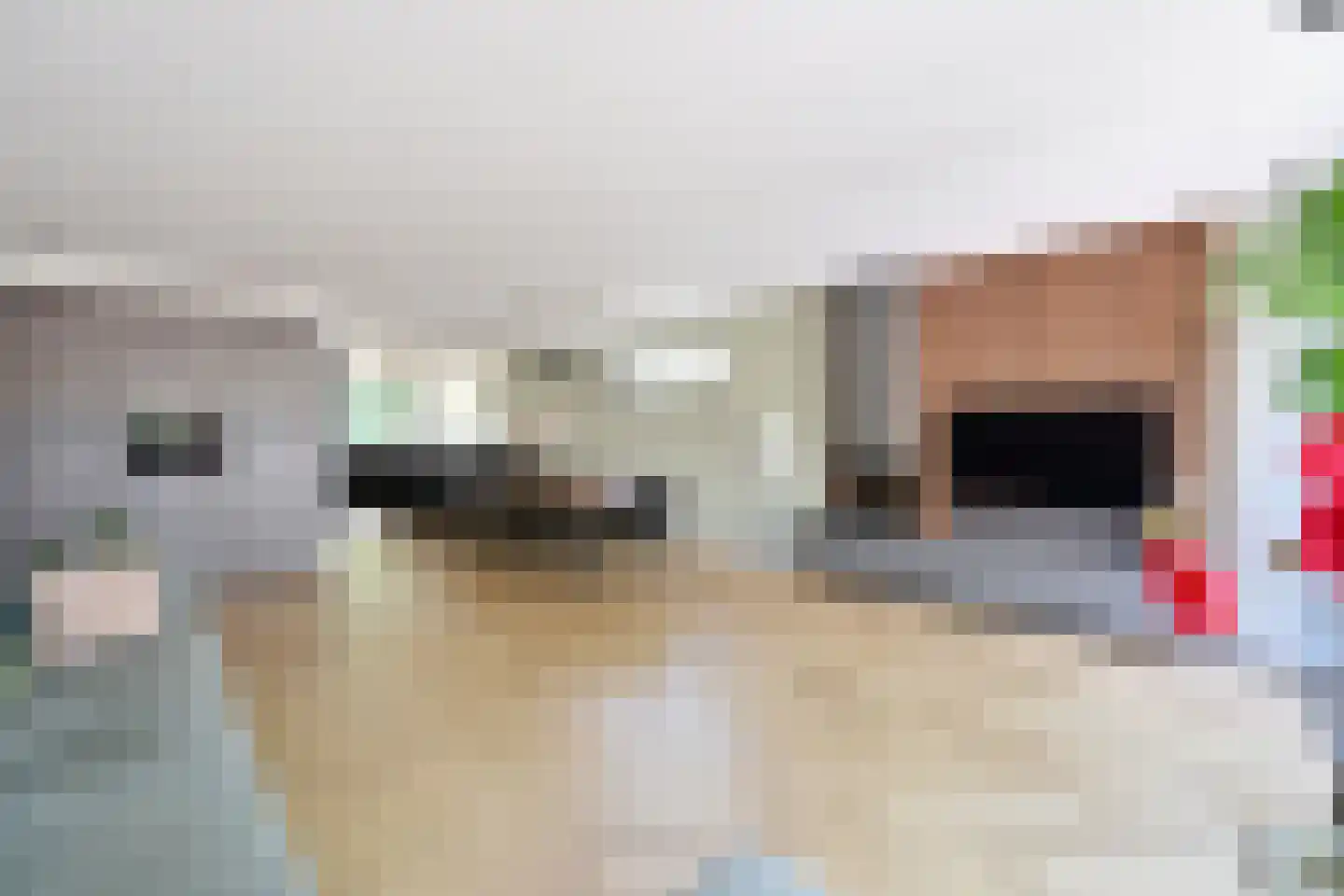 Zuiderzee 7 Huizen thumbnail 4