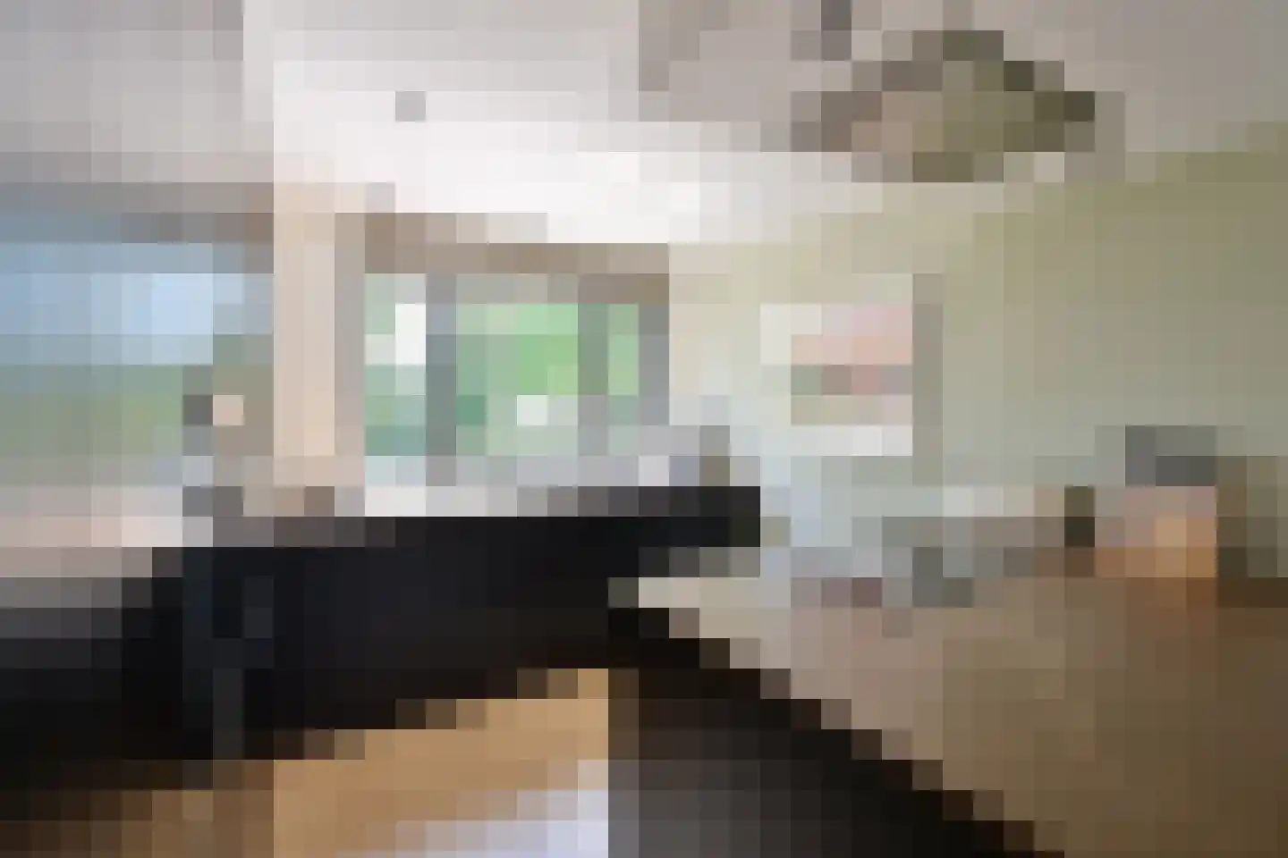 Zuiderzee 7 Huizen thumbnail 8
