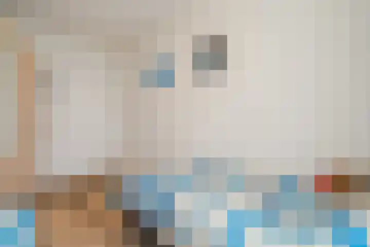 Zuiderzee op Zuid 1 Biddinghuizen thumbnail 18