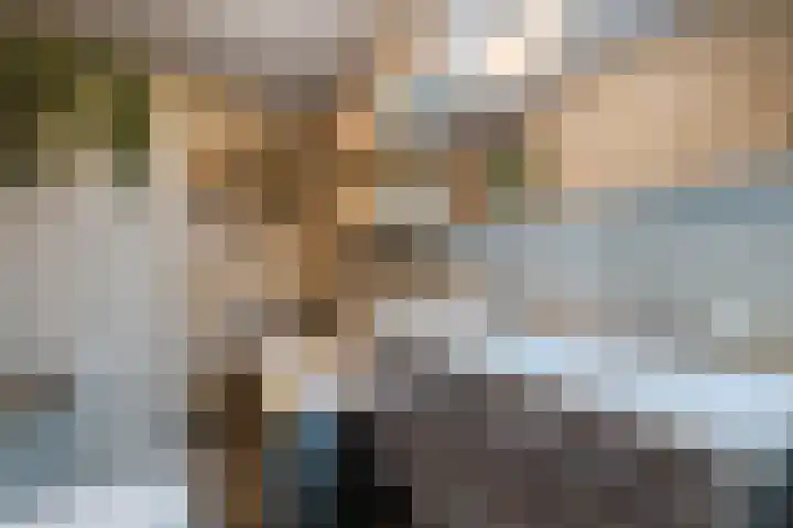 Zuiderzee op Zuid 1 Biddinghuizen thumbnail 19