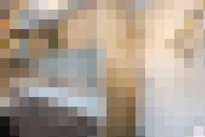 Zuiderzee op Zuid 1 Biddinghuizen thumbnail 20