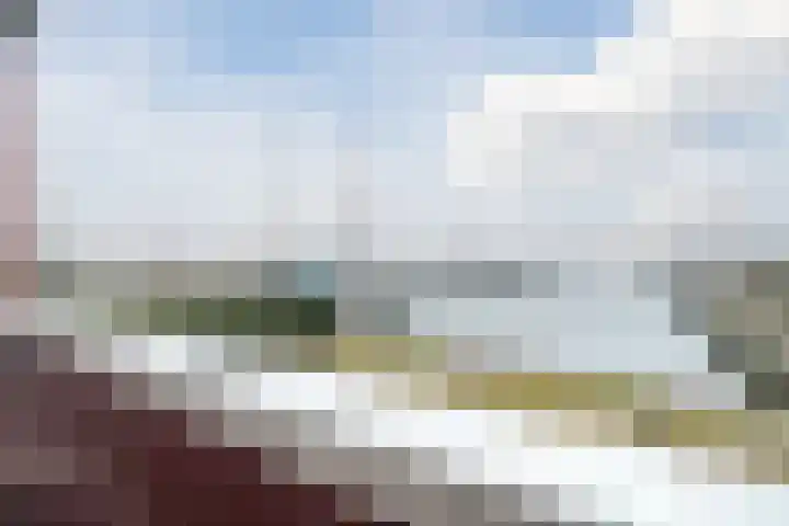Zuiderzee op Zuid 1 Biddinghuizen thumbnail 27
