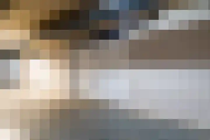 Zuiderzee op Zuid 1 Biddinghuizen thumbnail 30