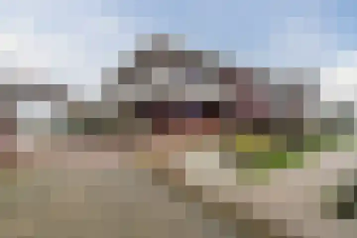 Zuiderzee op Zuid 1 Biddinghuizen thumbnail 31