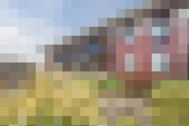 Zuiderzee op Zuid 1 Biddinghuizen thumbnail 34