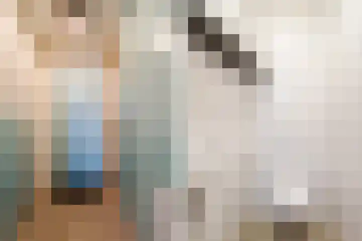 Zuiderzee op Zuid 1 Biddinghuizen thumbnail 5