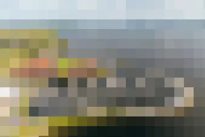 Zuiderzee op Zuid 102 Biddinghuizen thumbnail 39