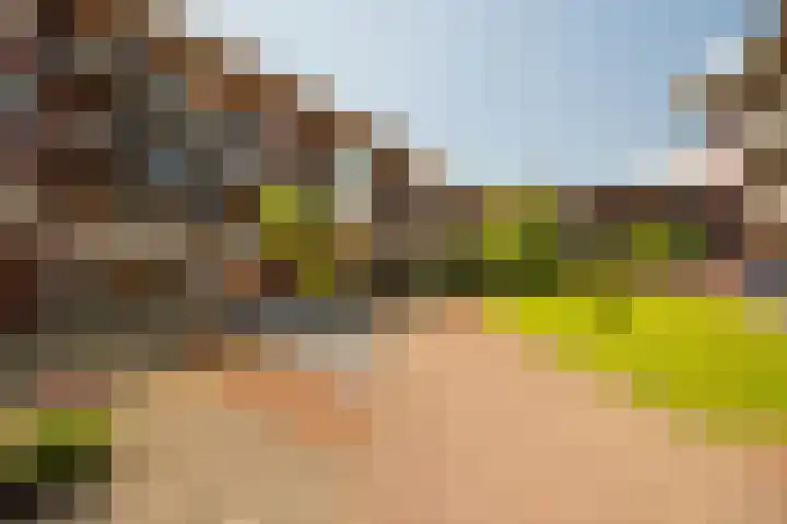 Zuiderzee op Zuid 102 Biddinghuizen thumbnail 5