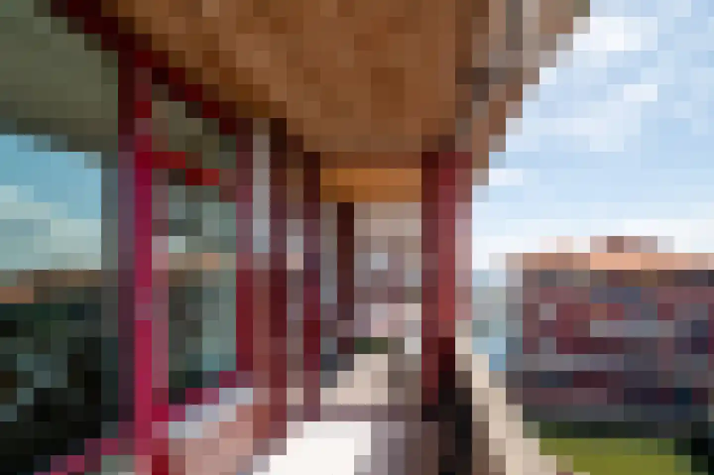 Zuiderzee op Zuid 107 Biddinghuizen thumbnail 13