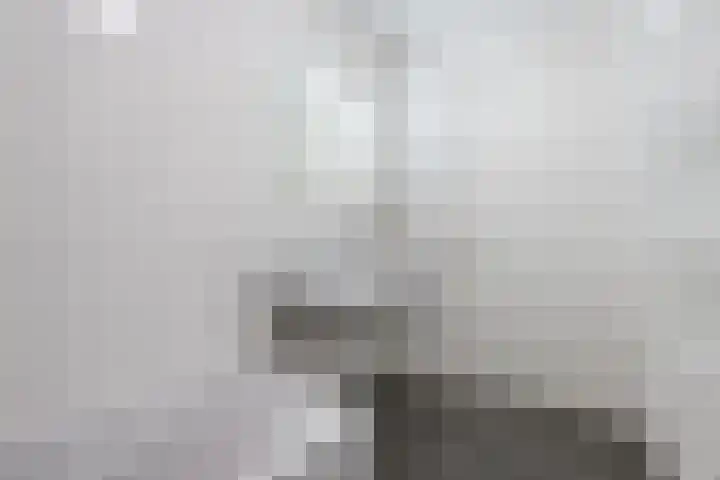 Zuiderzee op Zuid 112 Biddinghuizen thumbnail 30