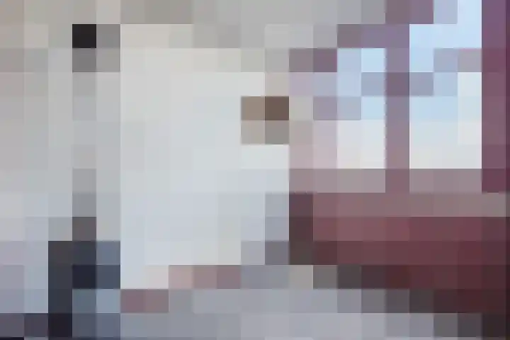 Zuiderzee op Zuid 112 Biddinghuizen thumbnail 33