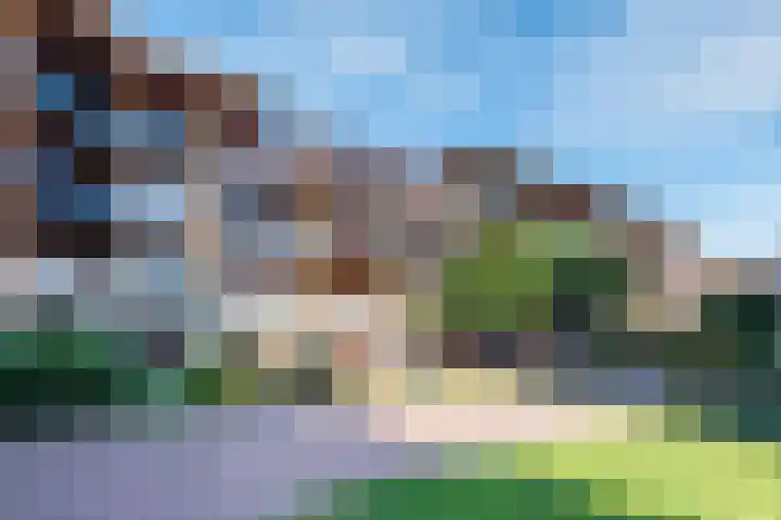 Zuiderzee op Zuid 112 Biddinghuizen thumbnail 4
