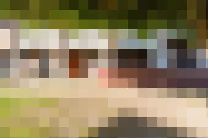 Zuiderzee op Zuid 112 Biddinghuizen thumbnail 5