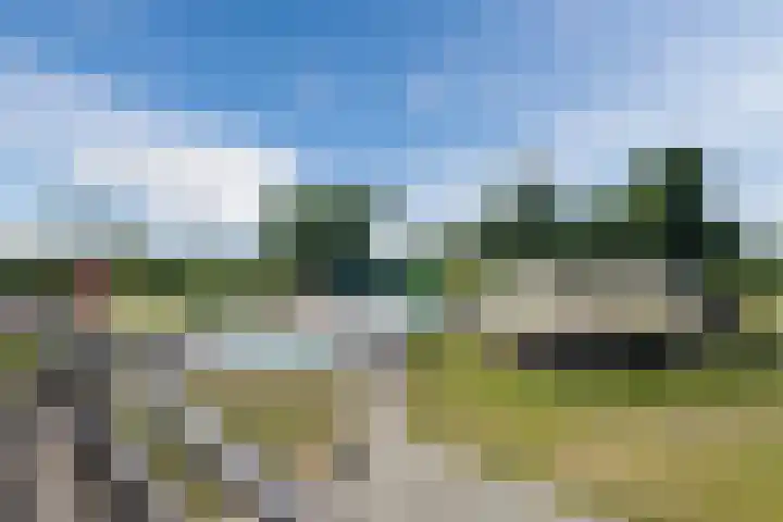 Zuiderzee op Zuid 112 Biddinghuizen thumbnail 51