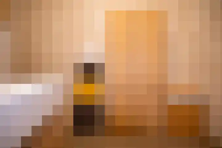 Zuiderzee op Zuid 114 Biddinghuizen thumbnail 15