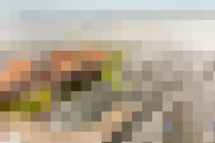 Zuiderzee op Zuid 114 Biddinghuizen thumbnail 33