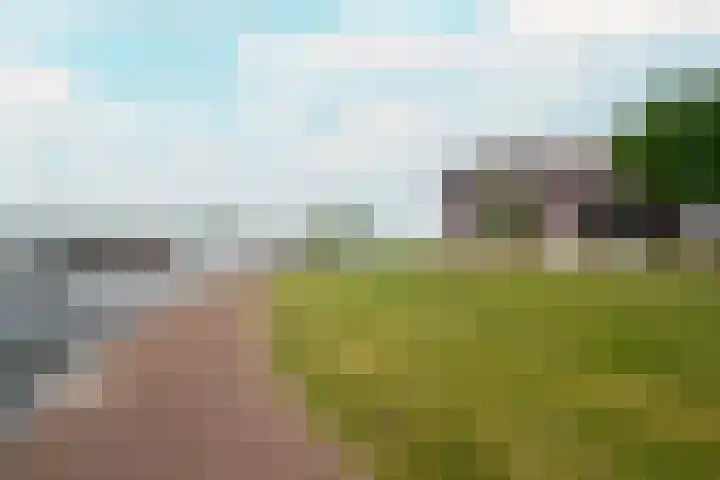 Zuiderzee op Zuid 114 Biddinghuizen thumbnail 6