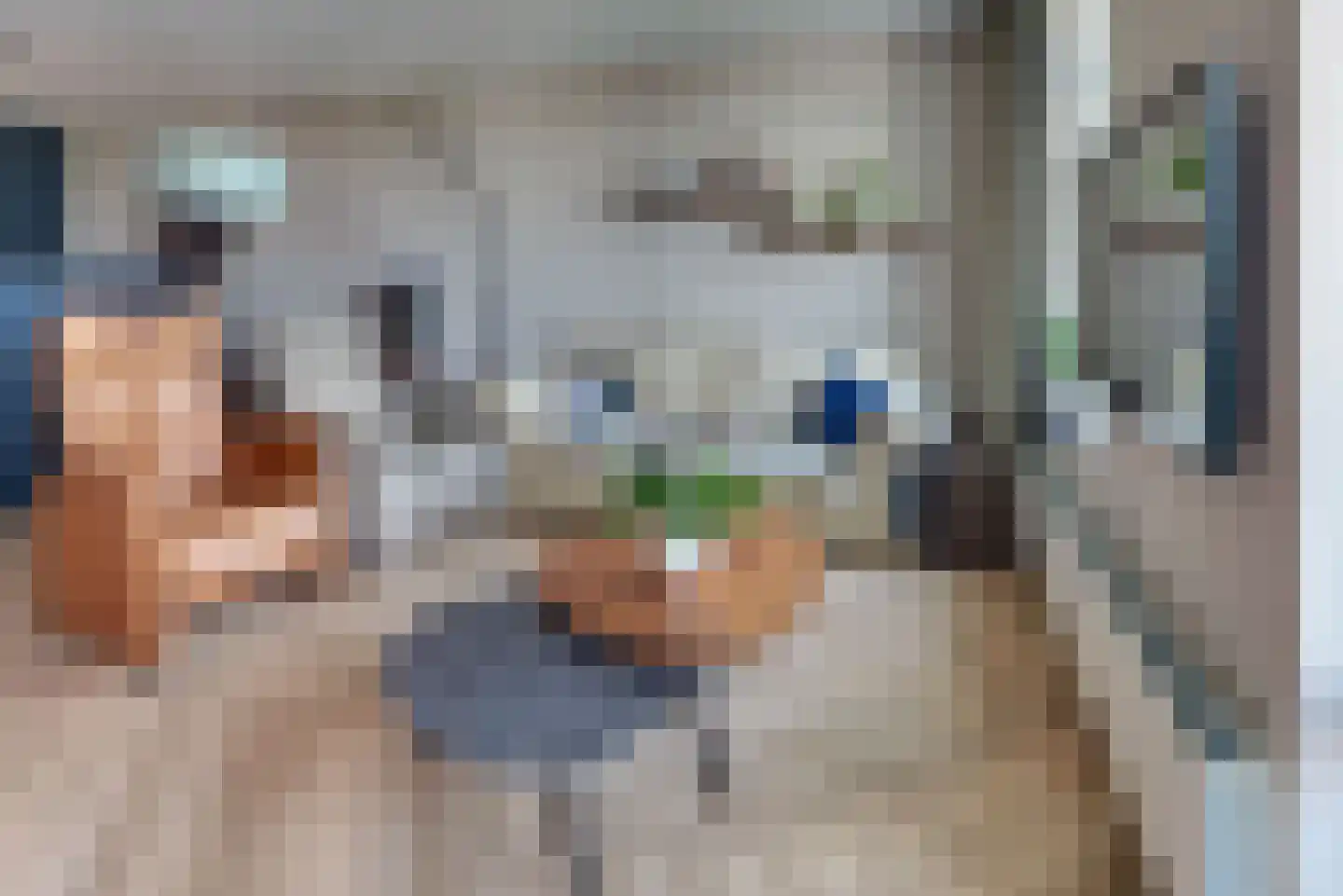 Zuiderzee op Zuid 123 Biddinghuizen thumbnail 20