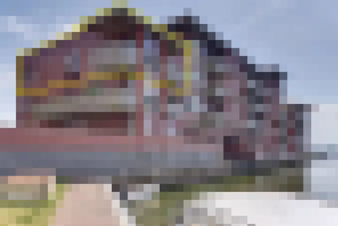 Zuiderzee op Zuid 123 Biddinghuizen thumbnail 45