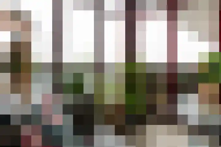 Zuiderzee op Zuid 126 Biddinghuizen thumbnail 25