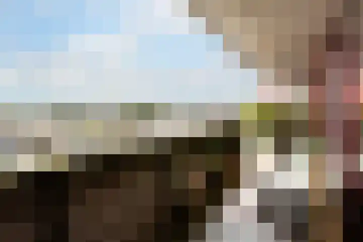 Zuiderzee op Zuid 126 Biddinghuizen thumbnail 26