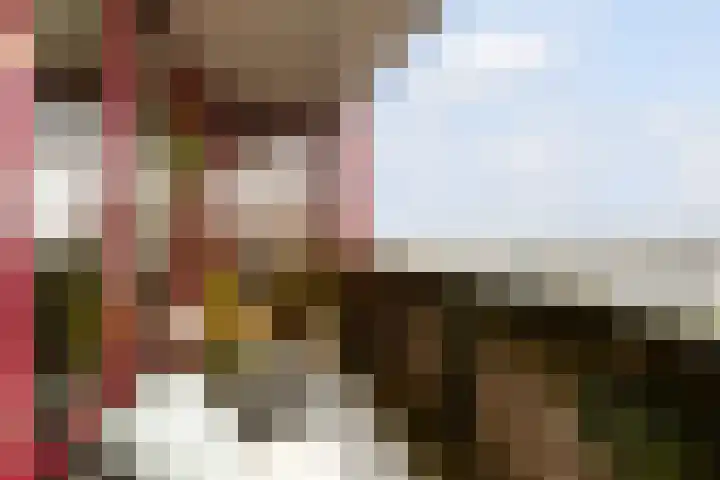 Zuiderzee op Zuid 126 Biddinghuizen thumbnail 27
