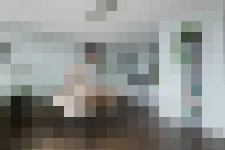 Zuiderzee op Zuid 126 Biddinghuizen thumbnail 29
