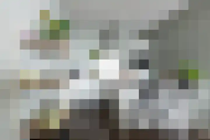 Zuiderzee op Zuid 126 Biddinghuizen thumbnail 31