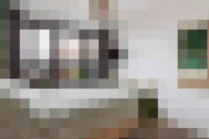 Zuiderzee op Zuid 126 Biddinghuizen thumbnail 35