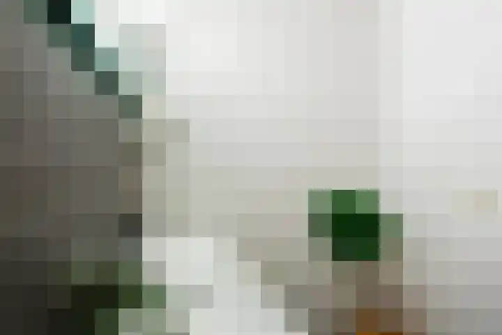 Zuiderzee op Zuid 126 Biddinghuizen thumbnail 42