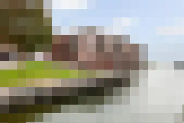 Zuiderzee op Zuid 126 Biddinghuizen thumbnail 43