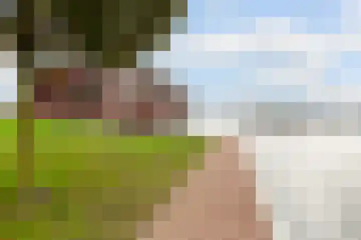 Zuiderzee op Zuid 126 Biddinghuizen thumbnail 44
