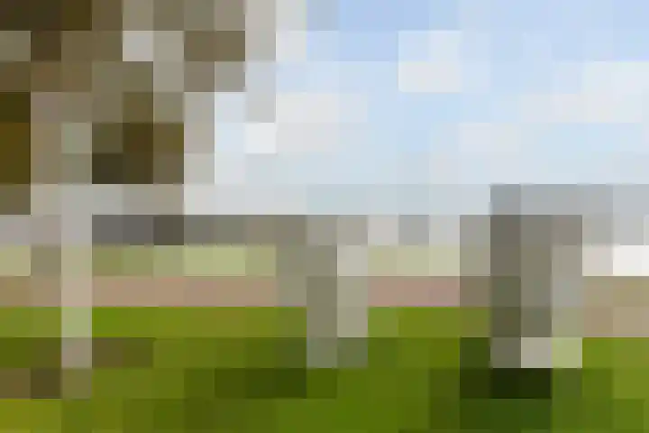Zuiderzee op Zuid 126 Biddinghuizen thumbnail 46