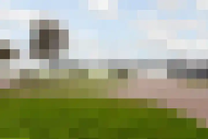 Zuiderzee op Zuid 126 Biddinghuizen thumbnail 47